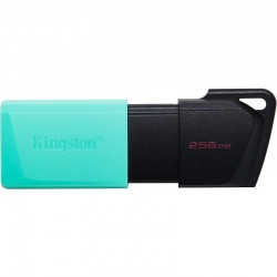 PEN DRIVE 256GB KINGSTON...