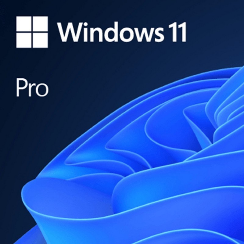 WINDOWS 11 PROFESSIONAL 64...